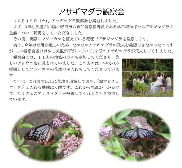 Microsoft Word - 211012 アサギマダラ観察会.jpg