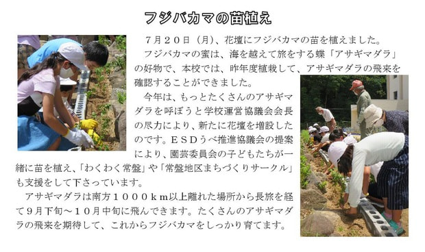 fujibakamanaeue.jpg