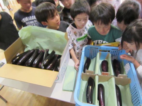 大阪常磐会大学付属常磐会幼稚園