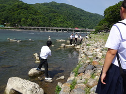 DSC00344.JPG