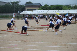 IMG_8558.JPG